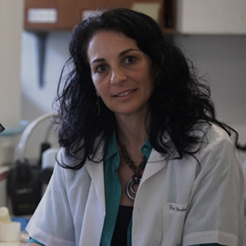 INCT_Equipe_AndreaGoncalves