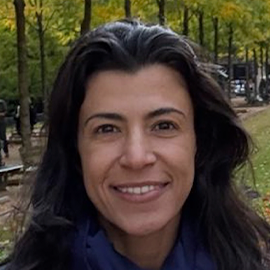 INCT_Equipe_LucianaRomao