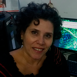 INCT_Equipe_SilviaLima